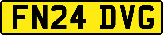 FN24DVG