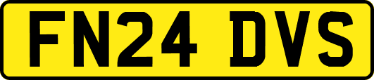 FN24DVS