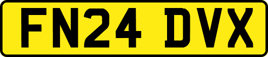 FN24DVX