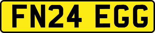 FN24EGG