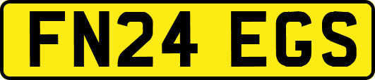 FN24EGS