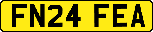 FN24FEA