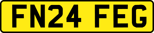 FN24FEG