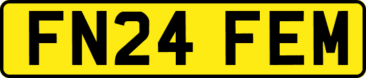 FN24FEM