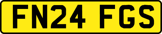 FN24FGS