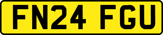 FN24FGU