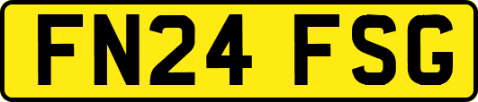 FN24FSG