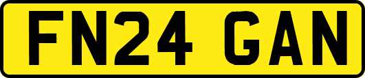 FN24GAN