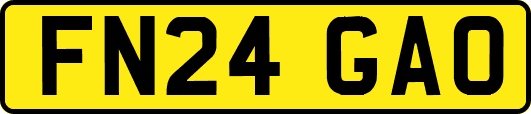 FN24GAO