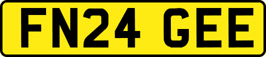 FN24GEE