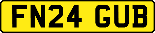 FN24GUB