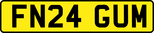 FN24GUM