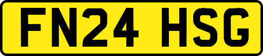 FN24HSG