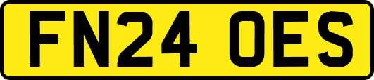 FN24OES