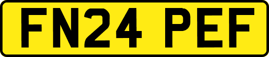 FN24PEF