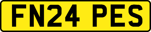 FN24PES