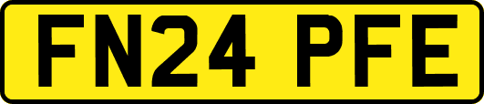 FN24PFE
