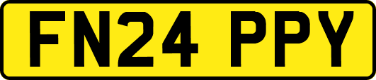 FN24PPY