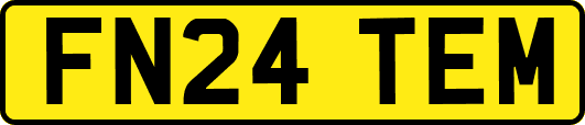 FN24TEM