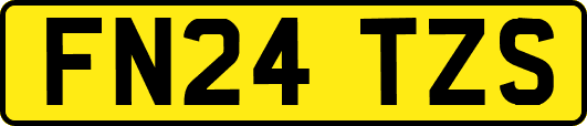 FN24TZS