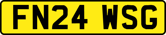 FN24WSG