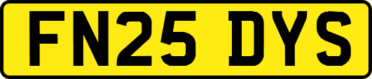 FN25DYS
