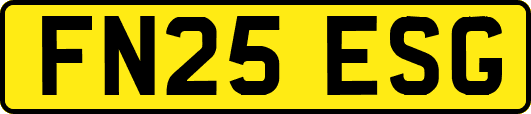 FN25ESG