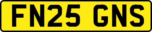 FN25GNS