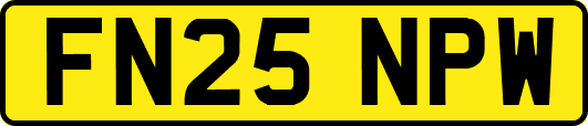 FN25NPW