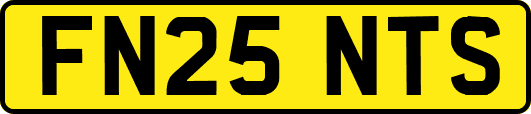 FN25NTS