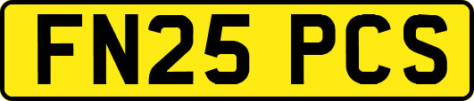 FN25PCS