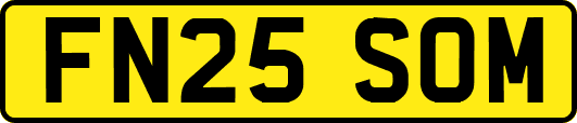FN25SOM