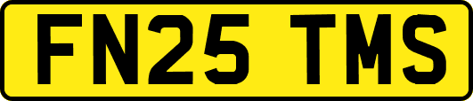 FN25TMS