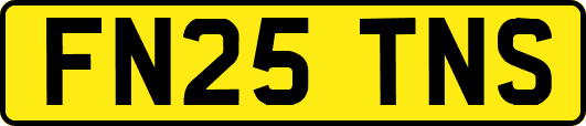 FN25TNS
