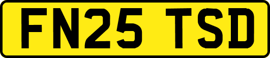 FN25TSD