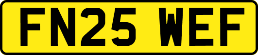 FN25WEF