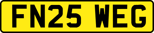 FN25WEG