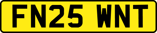 FN25WNT