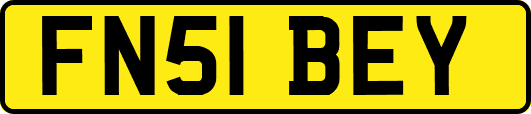 FN51BEY