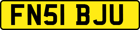 FN51BJU