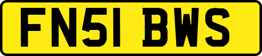 FN51BWS