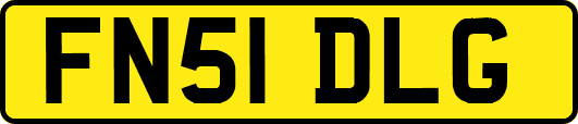 FN51DLG