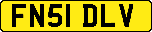 FN51DLV