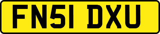 FN51DXU