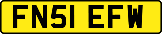 FN51EFW