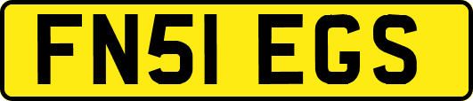 FN51EGS