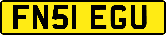 FN51EGU