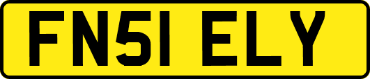 FN51ELY