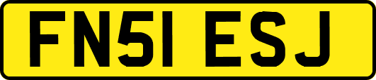 FN51ESJ