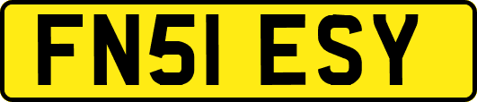 FN51ESY